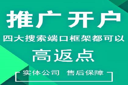 百度推广实战攻略：案例与技巧
